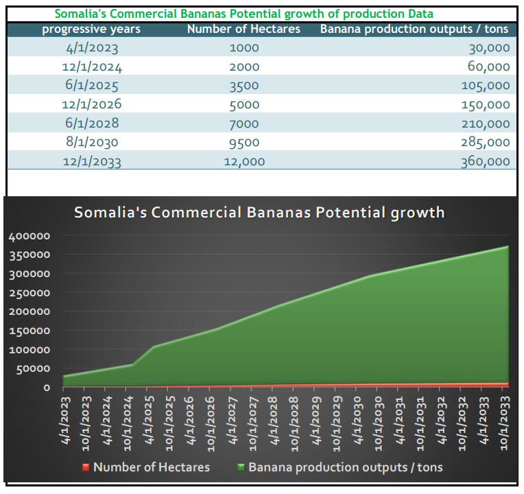 somalia-commercial-bananagrowth